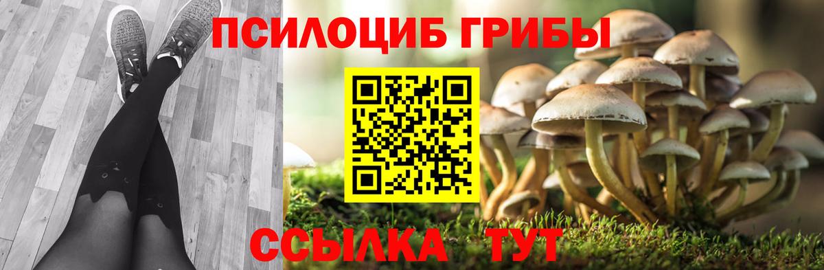 Галлюциногенные грибы прущие грибы  Вход с VPN  магазин    Псилоцибиновые грибы ЛСД  Симферополь 